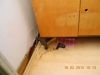 dscn0280