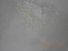 dscn0288