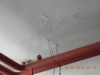 dscn0292