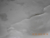 dscn0298