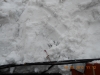 dscn0333