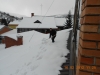 dscn0341
