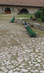 20140503_135700