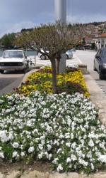 20140504_121424