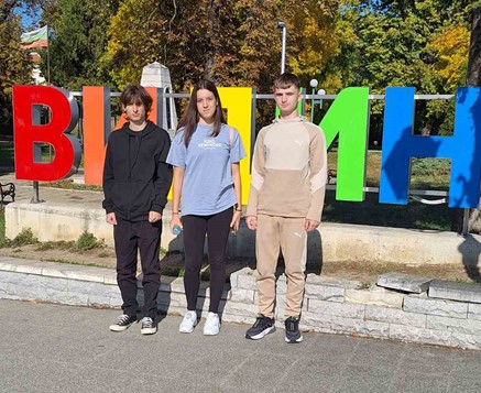 vidin